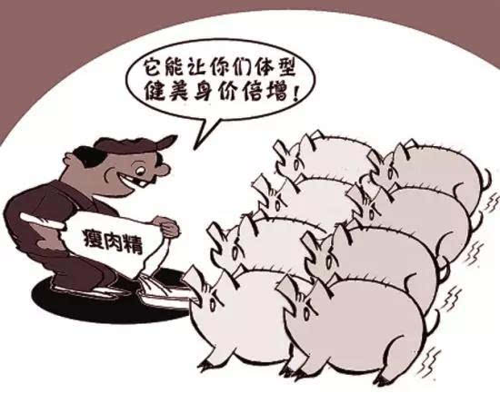 瘦肉精是什么东西?