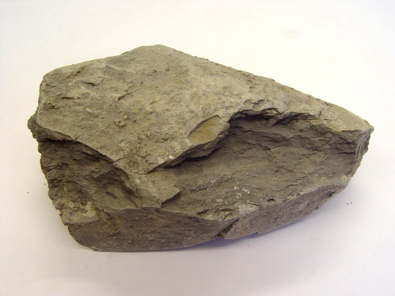 钙质页岩图片